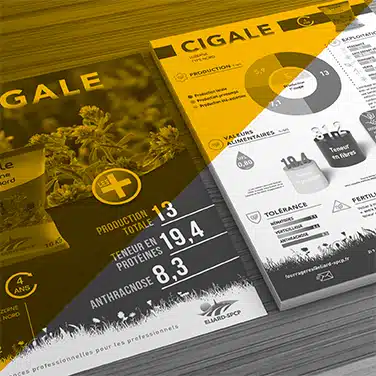Image noire & blanc avec aplat jaune transparent, fiches techniques imprimées avec graphiques, données nutritionnelles et visuels de produits agricoles
