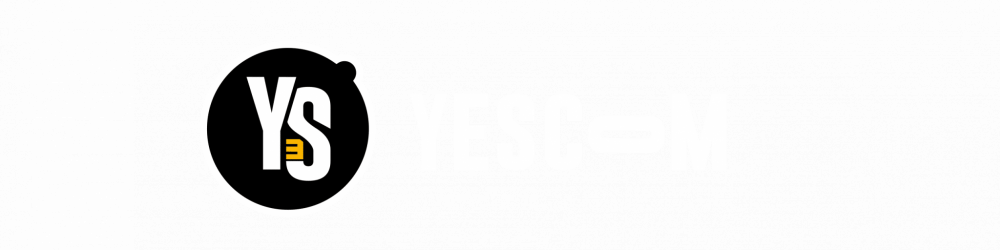 Logo Filet Horizontal White – YESCOM, votre agence de communication à Pontivy